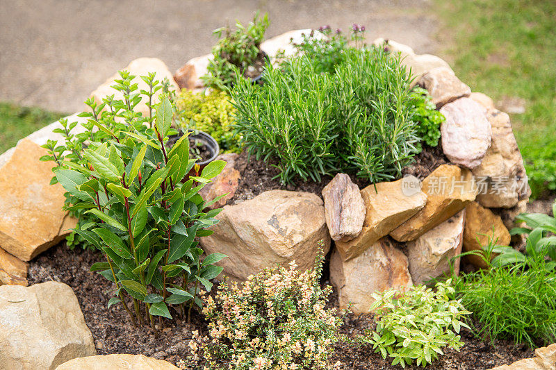 Herb snail built with stones